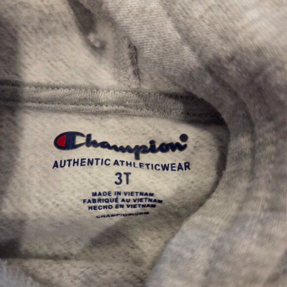 Champion hoodie - Picture 2 of 2